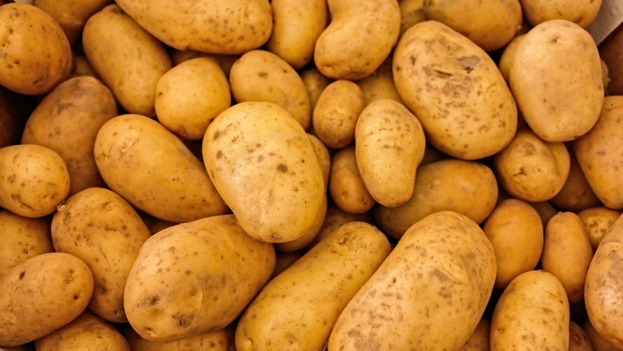 Do potatoes make you gain weight